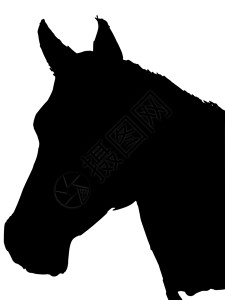 马的黑月亮背景图片