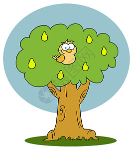 梨树上的卡通鸟图片