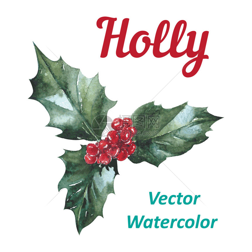 Hollybery图标圣诞符号图片