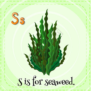 字母S的插图用于海藻背景图片