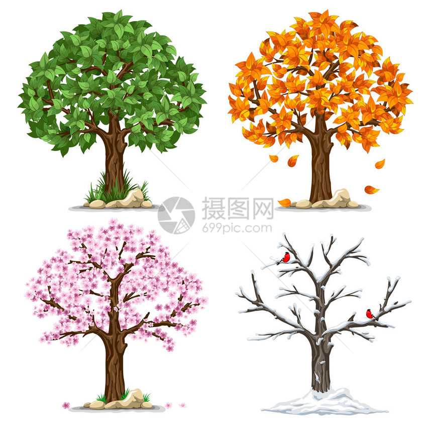 树在四个季节春天夏天秋天冬天矢量图在白