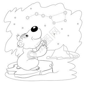 卡通有趣的小白熊看着星座大黄花图片