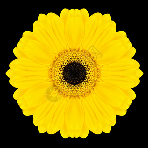 黄色花朵曼达拉Kaleidoscopic设计背景图片