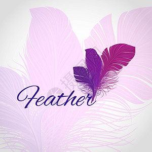 色彩多的紫花鸟羽毛抽象幻想图片
