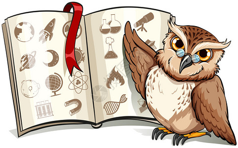 温尔知新毛笔字书旁边的猫头鹰白色背景上有红色书签插画
