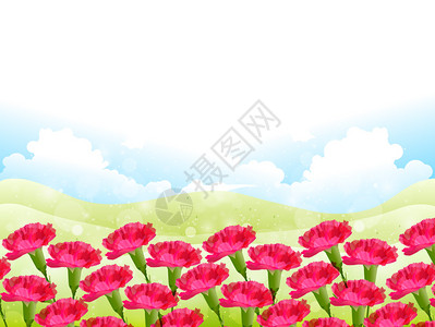 康乃馨母亲节背景背景图片