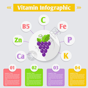 葡萄中维生素和矿物质的信息图表健康生活和健康饮食的背景图片