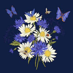 夏季复古花束贺卡与盛开的洋甘菊瓢虫雏菊矢车菊大黄蜂和蓝背景图片