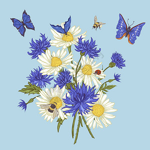 夏季复古花束贺卡与盛开的洋甘菊瓢虫雏菊矢车菊大黄蜂和蓝背景图片