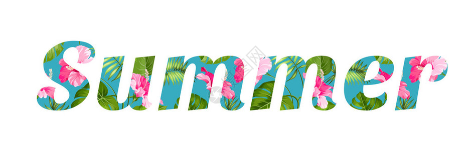 热带花卉和文字夏天矢量插图背景图片