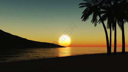 在热带海滩的日落与椰子棕榈树剪影图片