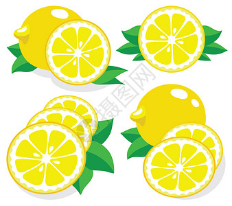 柠檬矢量插图的集合图片