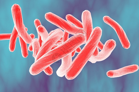 结核分枝杆菌的显微镜观察细菌模型微生物棒状细菌引起结核病的细设计图片