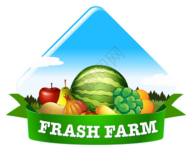 如果新鲜农场有水果和蔬菜的横幅背景图片
