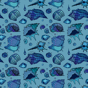 海贝壳的无缝图案手绘矢量图图片