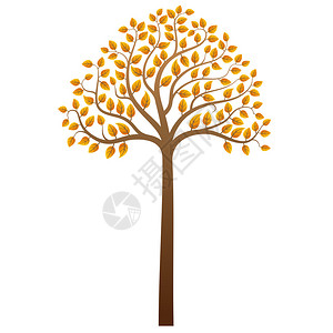 白色背景上的抽象秋树矢量图图片