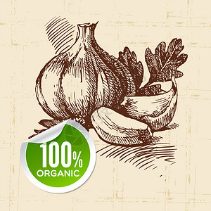 手画草图蔬菜生态食物背背景图片