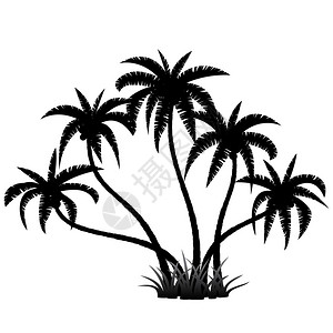 白色的棕榈树圆周背景图片