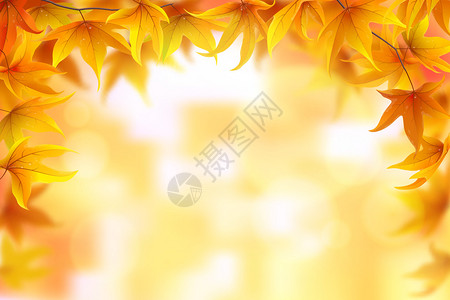 秋天的枫叶背景矢量图图片