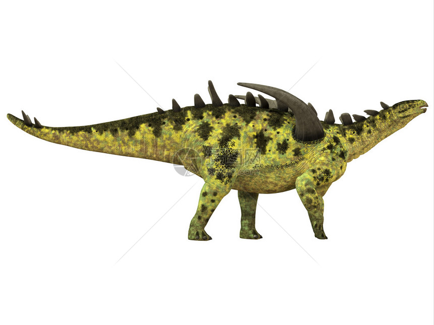 Gigantspinoarus是一种食草动物恐龙生活在图片