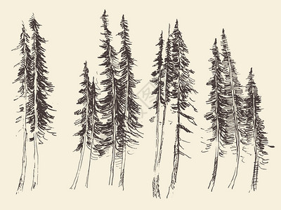 Firf森林雕刻矢量图片