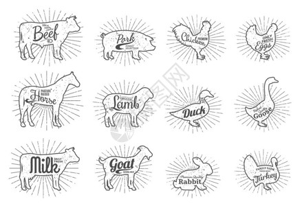 屠宰场标志模板集带有示例文本的农场动物复古风格的农场动物剪影系列图片