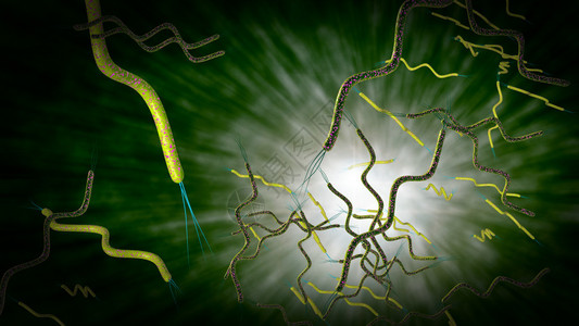 幽门螺旋杆菌感染3D计算机生成的显微镜紧闭卷状设计图片