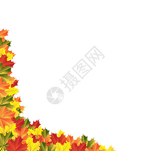 秋天枫叶矢量图模式图片