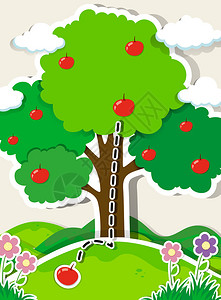 苹果从树上掉下来的插图图片