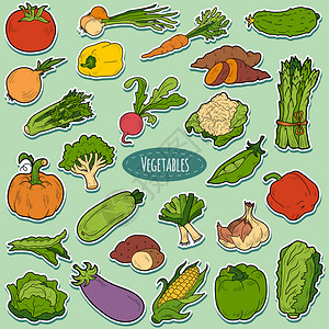 彩色蔬菜儿童矢量卡通贴纸图片