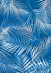 白色和蓝色的热带蓝色棕榈叶图片