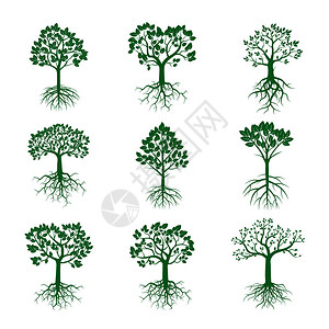 绿树和根组图片