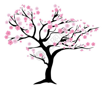 盛开的樱桃树矢量图图片