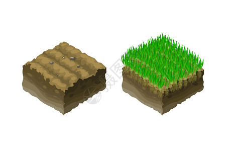 等距剖面图中的地面或土壤显示草坪的背景图片