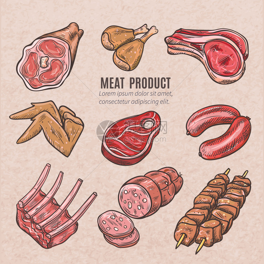 以古老风格制作的肉类产品彩色素描草图图片