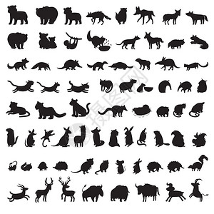 世界上的哺乳动物额外的大型动物群灰色光影矢量插图图片