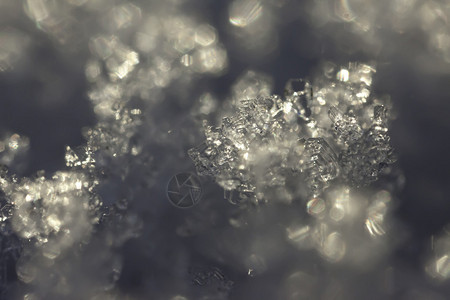 冷冻结晶的抽象宏背图片