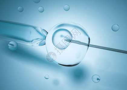 实验室内体外受精研究IVF图片