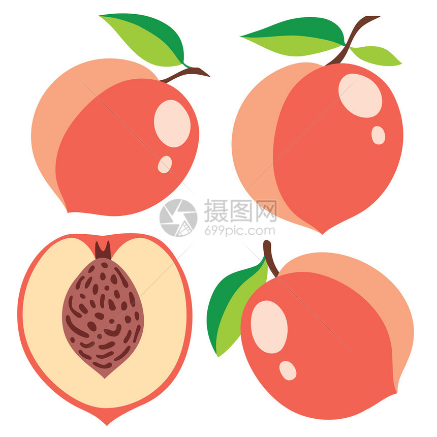 粉红桃子的集合矢量插图图片