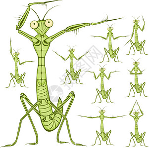 螳螂有趣的矢量插图卡通螳螂图片