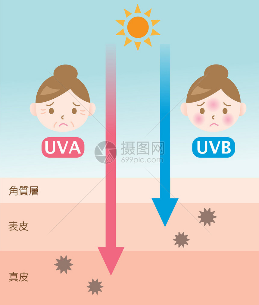信息图表皮肤插图UVA和UVB射线穿透之间的区别图片