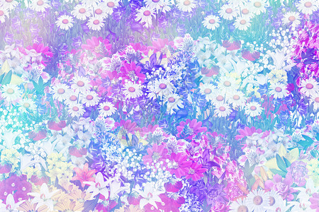 抽象花卉背景花卉图片
