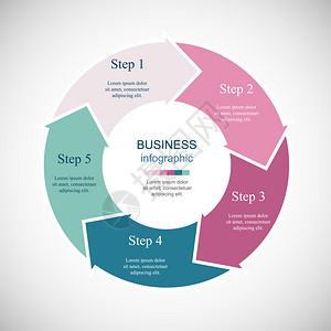 矢量图表图表演示文稿和图表的模板具有5个选项零件步骤或流图片