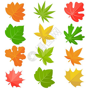树叶图标设置2平面图片