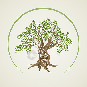 橄榄树矢量图背景图片