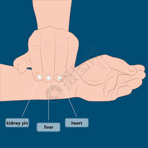 测定心率的方法人体器官的工作用手测量脉搏背景图片