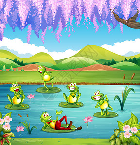 生活在池塘里的青蛙插画图片