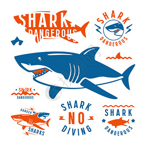 鲨鱼危险徽章和设计要素白背景图片