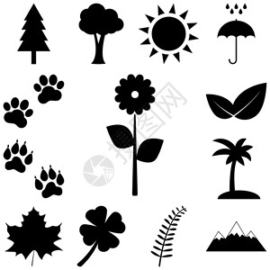 树木鲜花和动物足迹图片