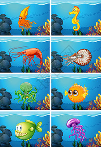 海底插图下的海洋动物场景图片